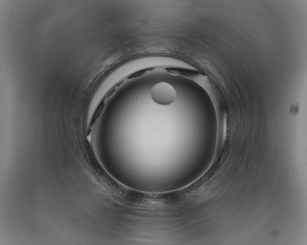 X0000090910260200707301440