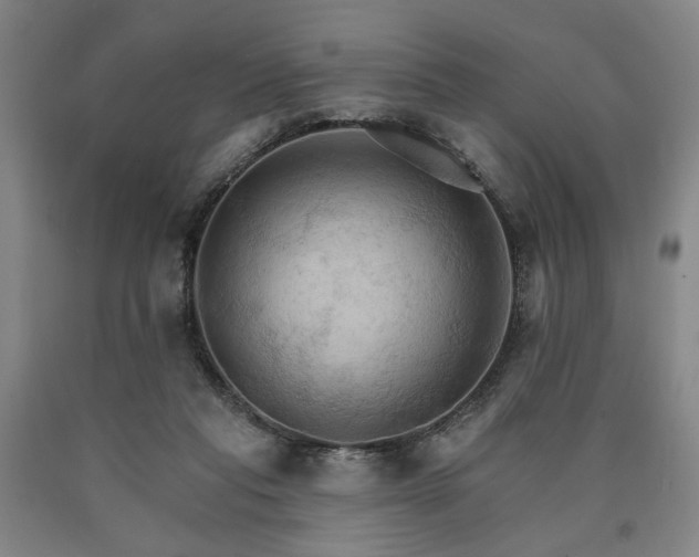 X0000090910261200707301440