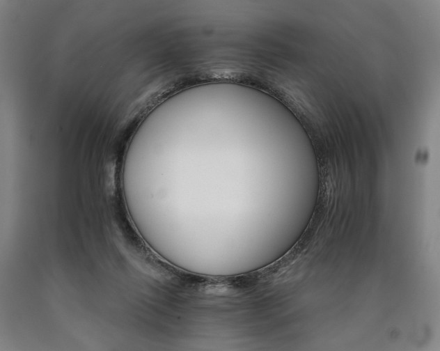 X0000090910262200707301440