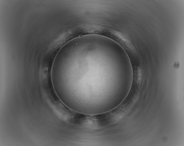 X0000090910263200707301440