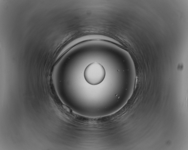 X0000090910264200707301440