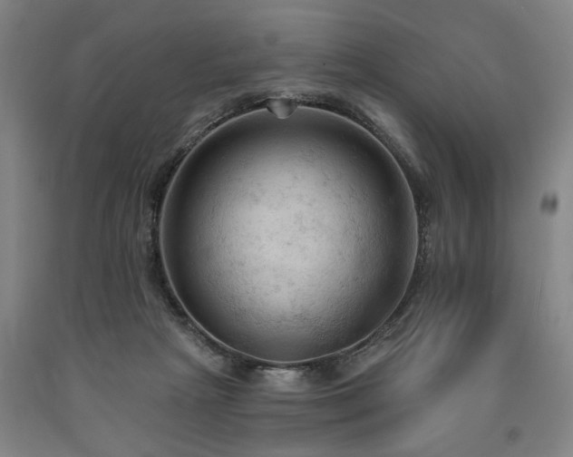 X0000090910265200707301440