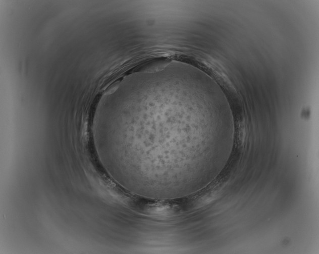 X0000090910267200707301440