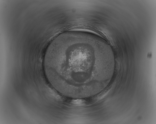 X0000090910269200707301440