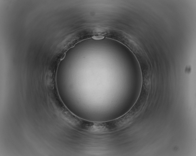 X0000090910270200707301440