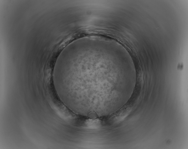 X0000090910271200707301440