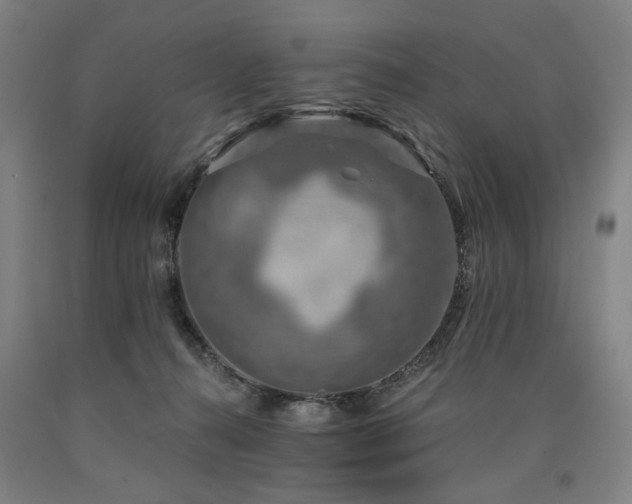 X0000090910272200707301440