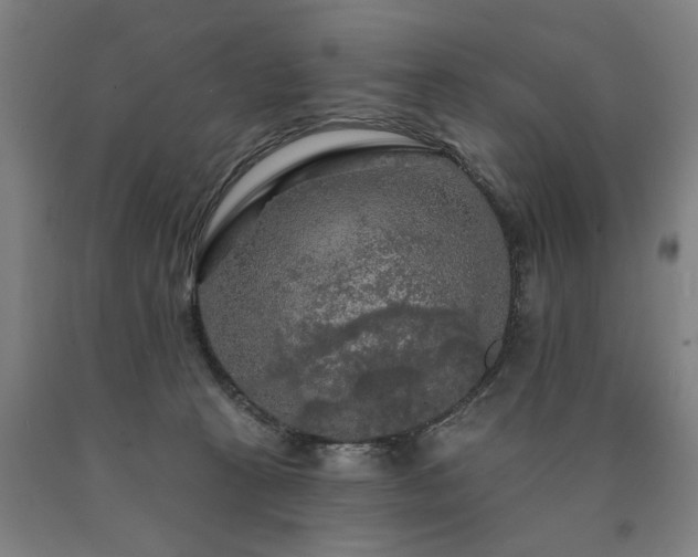 X0000090910273200707301440