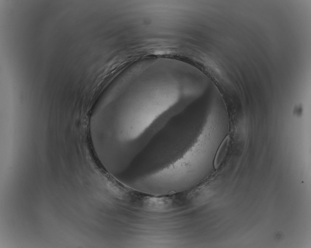 X0000090910277200707301440