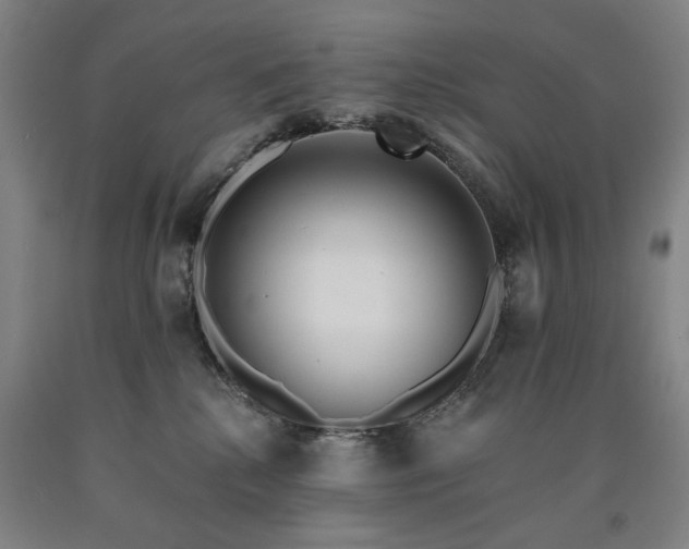 X0000090910280200707301440