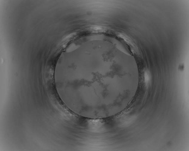 X0000090910281200707301440