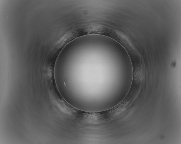 X0000090910282200707301440