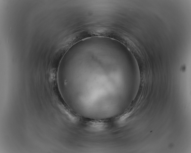 X0000090910284200707301440