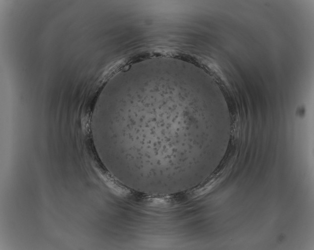 X0000090910285200707301440