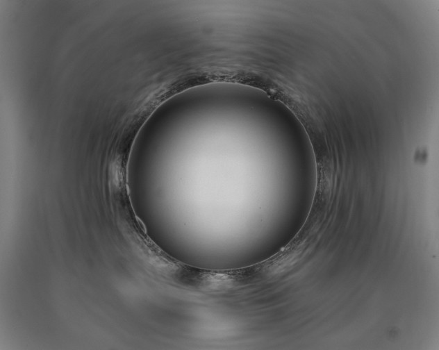 X0000090910287200707301440