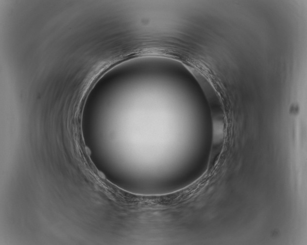 X0000090910289200707301440