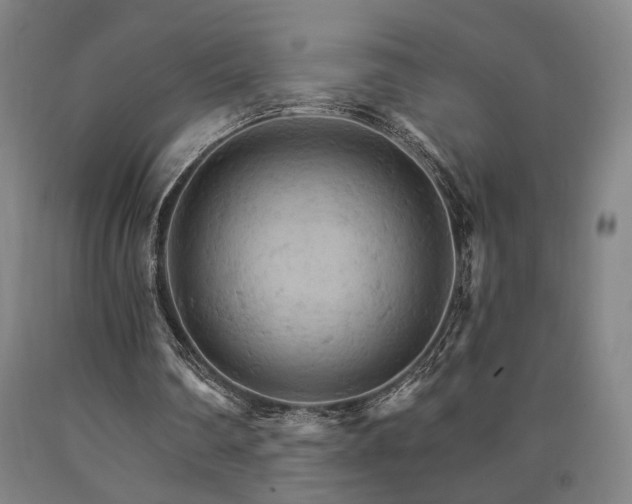 X0000090910290200707301440