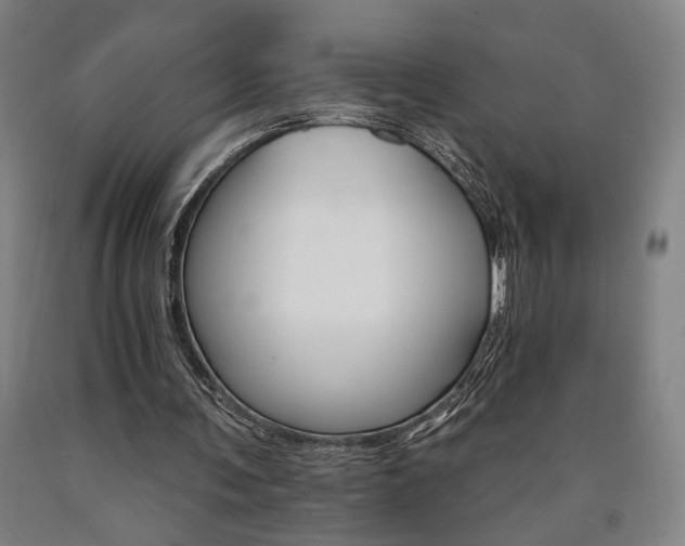 X0000090910291200707301440