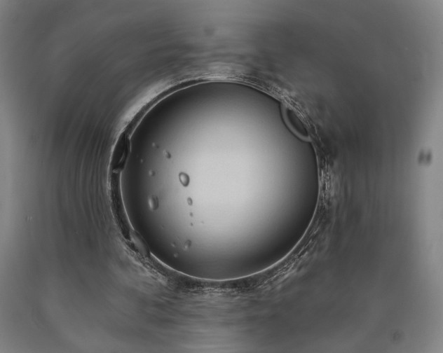 X0000090910292200707301440