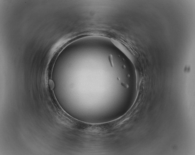 X0000090910294200707301439