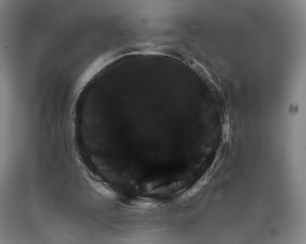 X0000090910295200707301439