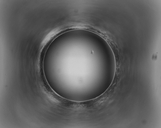 X0000090910296200707301439