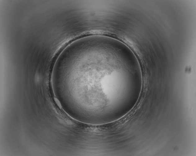 X0000090910297200707301439