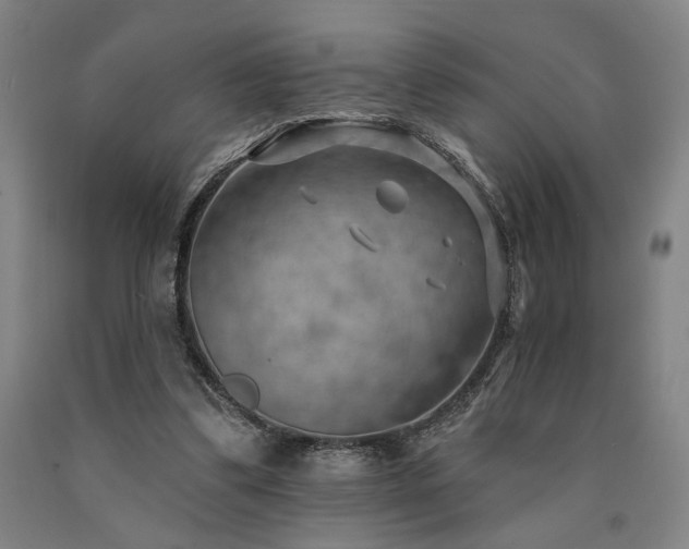 X0000090910299200707301439