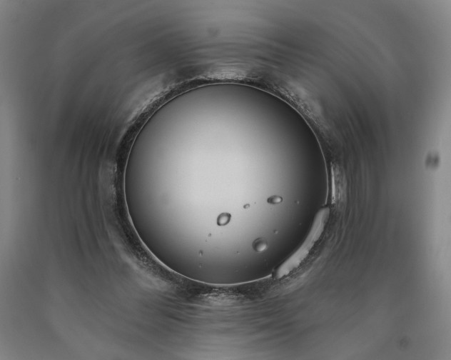 X0000090910300200707301439