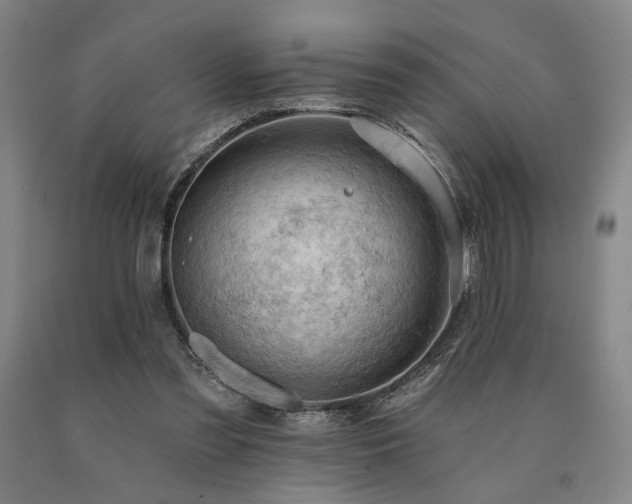 X0000090910301200707301439