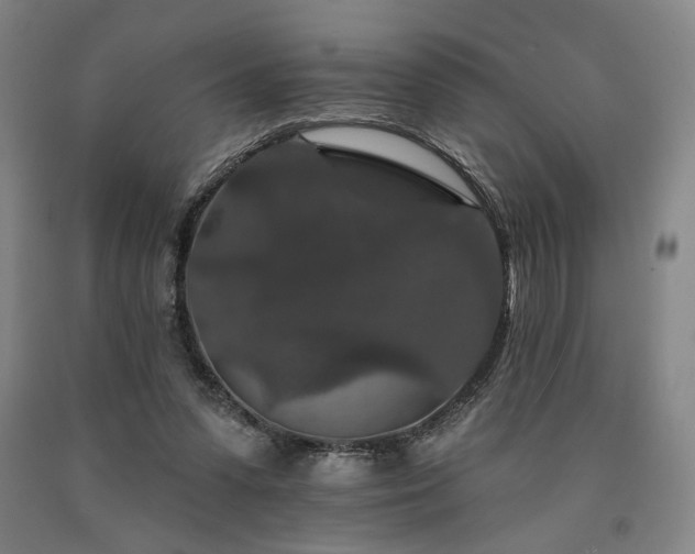 X0000090910303200707301439