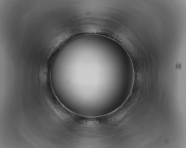 X0000090910304200707301439