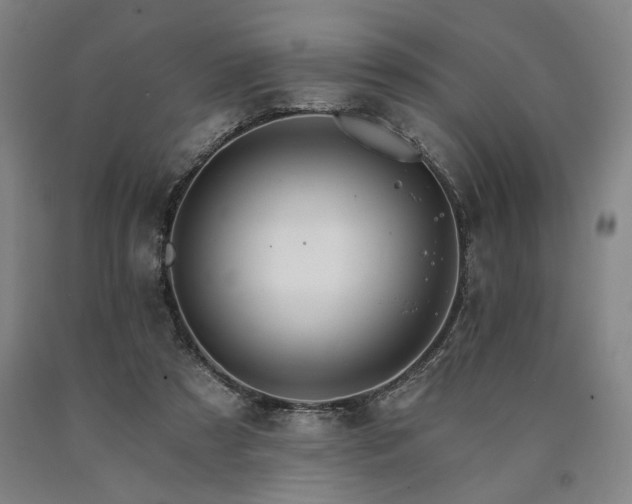 X0000090910305200707301439