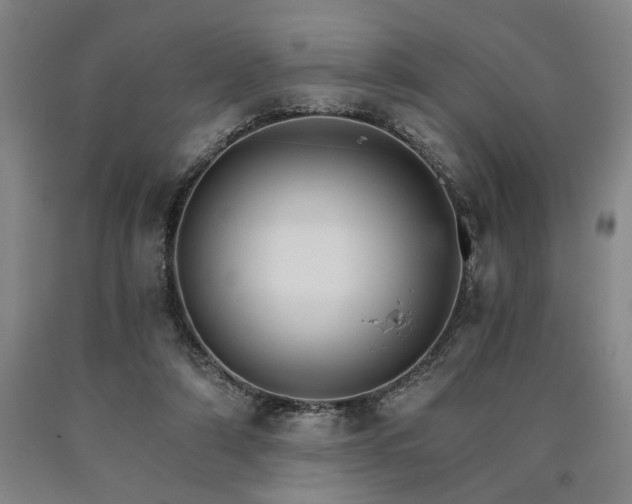 X0000090910306200707301439