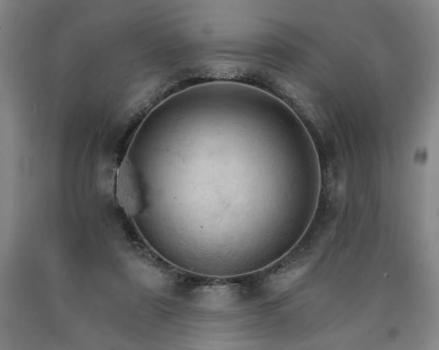 X0000090910307200707301439