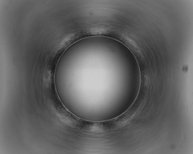 X0000090910308200707301439