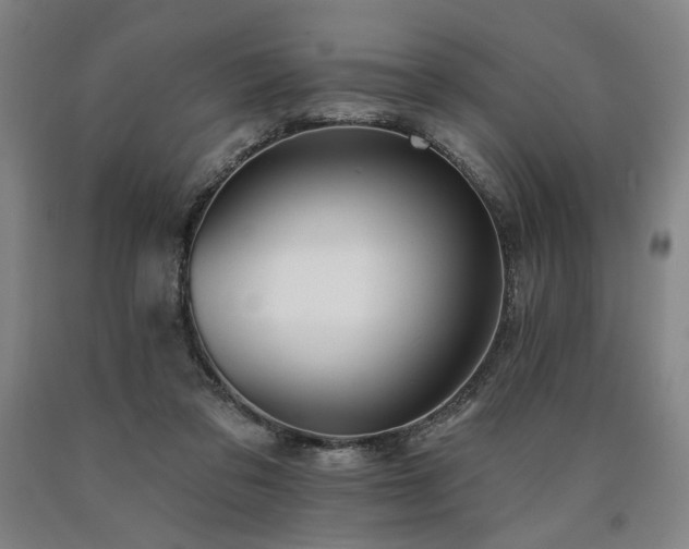 X0000090910309200707301439