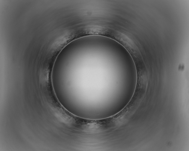 X0000090910310200707301439