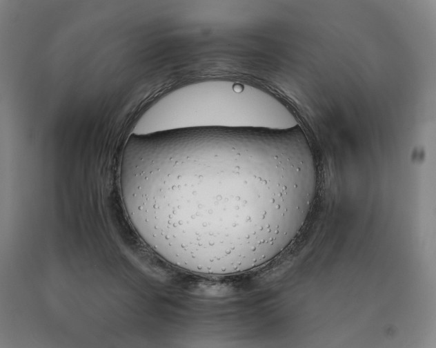 X0000090910311200707301439