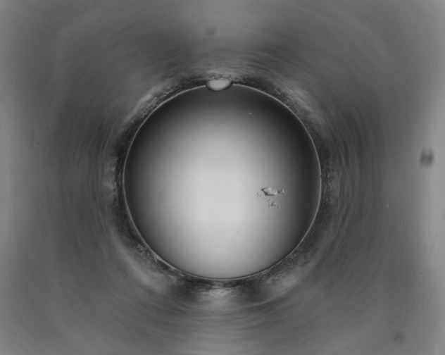 X0000090910312200707301439