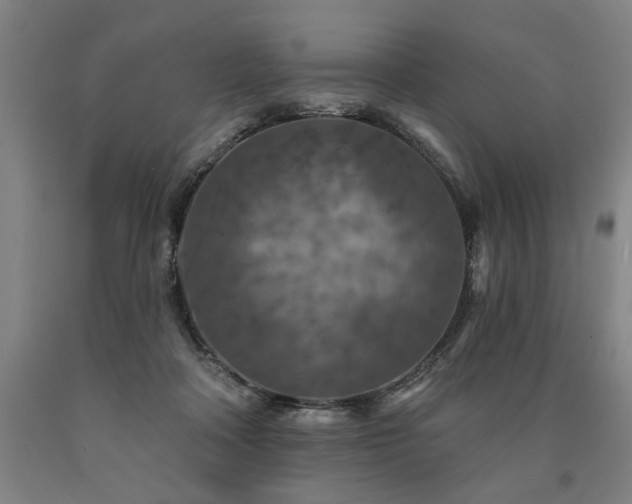 X0000090910314200707301439