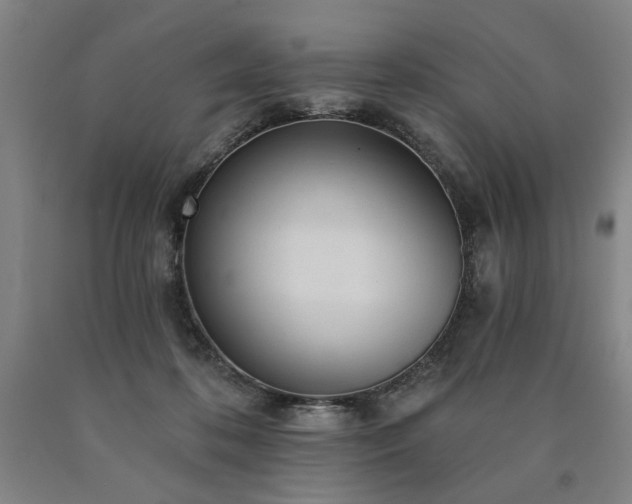 X0000090910316200707301439