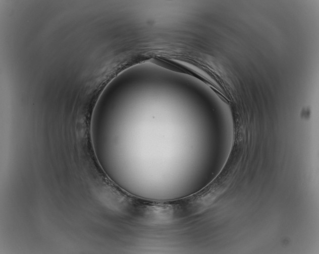 X0000090910317200707301439