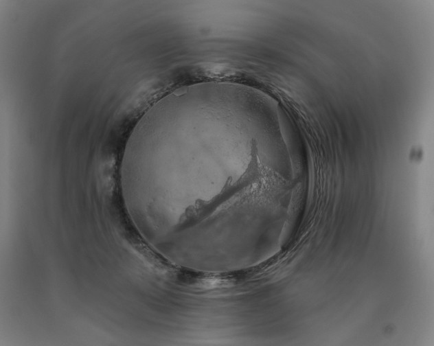 X0000090910319200707301439