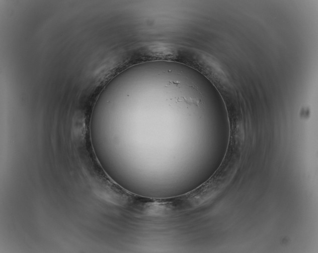 X0000090910320200707301439