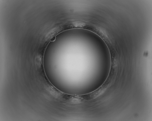 X0000090910321200707301439