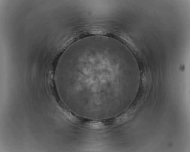 X0000090910322200707301439