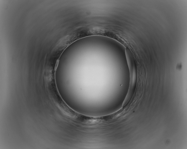 X0000090910323200707301439