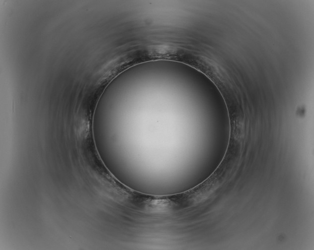 X0000090910324200707301439