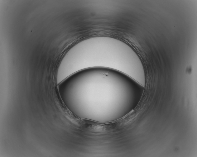 X0000090910325200707301439